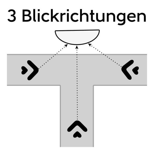 Beobachtungsspiegel HORIZONT180 ° BlickwinkelPreis ab